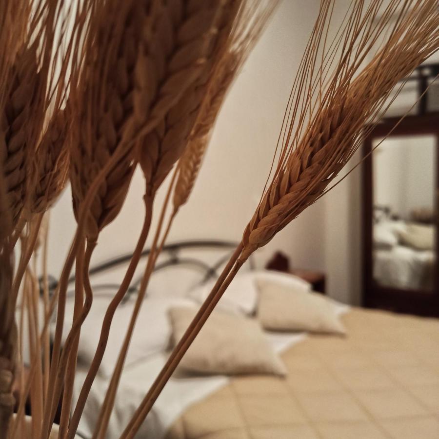 B&B La Masseria Del '700 Castiglione a Casauria Bagian luar foto